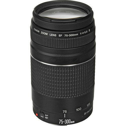 Canon 75-300mm f/4-5.6 EF III Lens