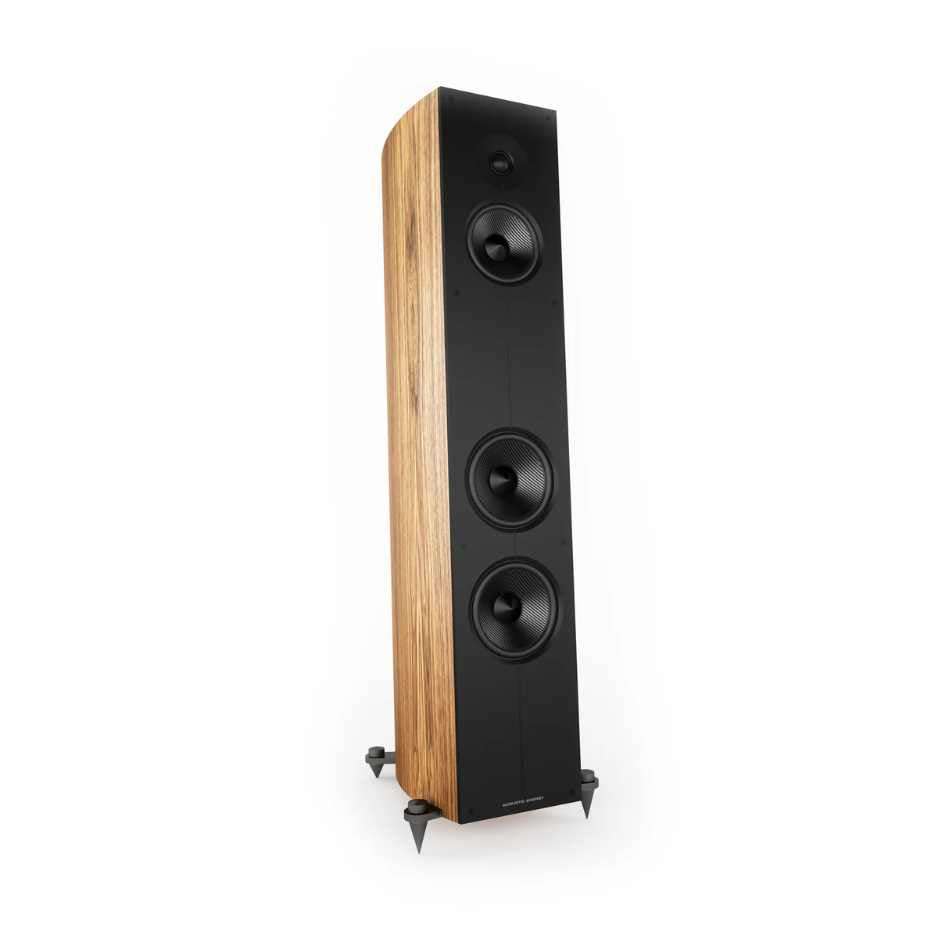 Acoustic Energy Corinium Floorstanding Speaker; Pair