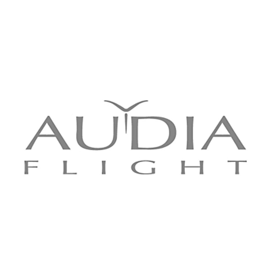 Audia Flight - Flight Three S Add-On Phono Board
