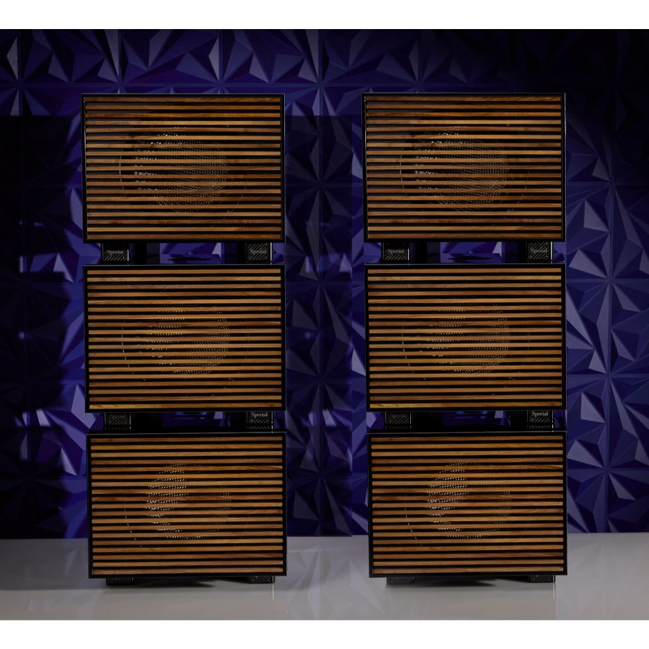 REL Carbon Special Black Label Subwoofer