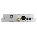 Audia Flight FLS DAC Board