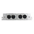 Audia Flight FLS Audio Expansion Board - Balanced (XLR)