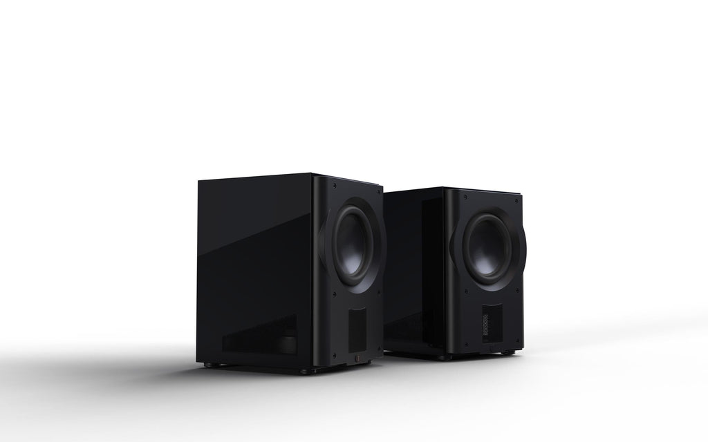 Perlisten R210s Subwoofer