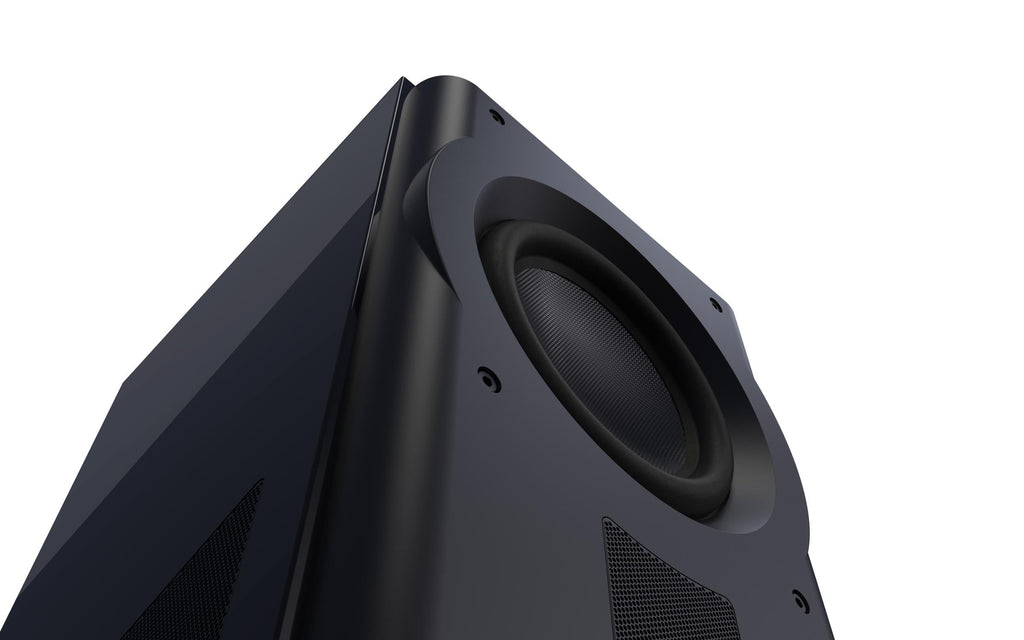 Perlisten R210s Subwoofer