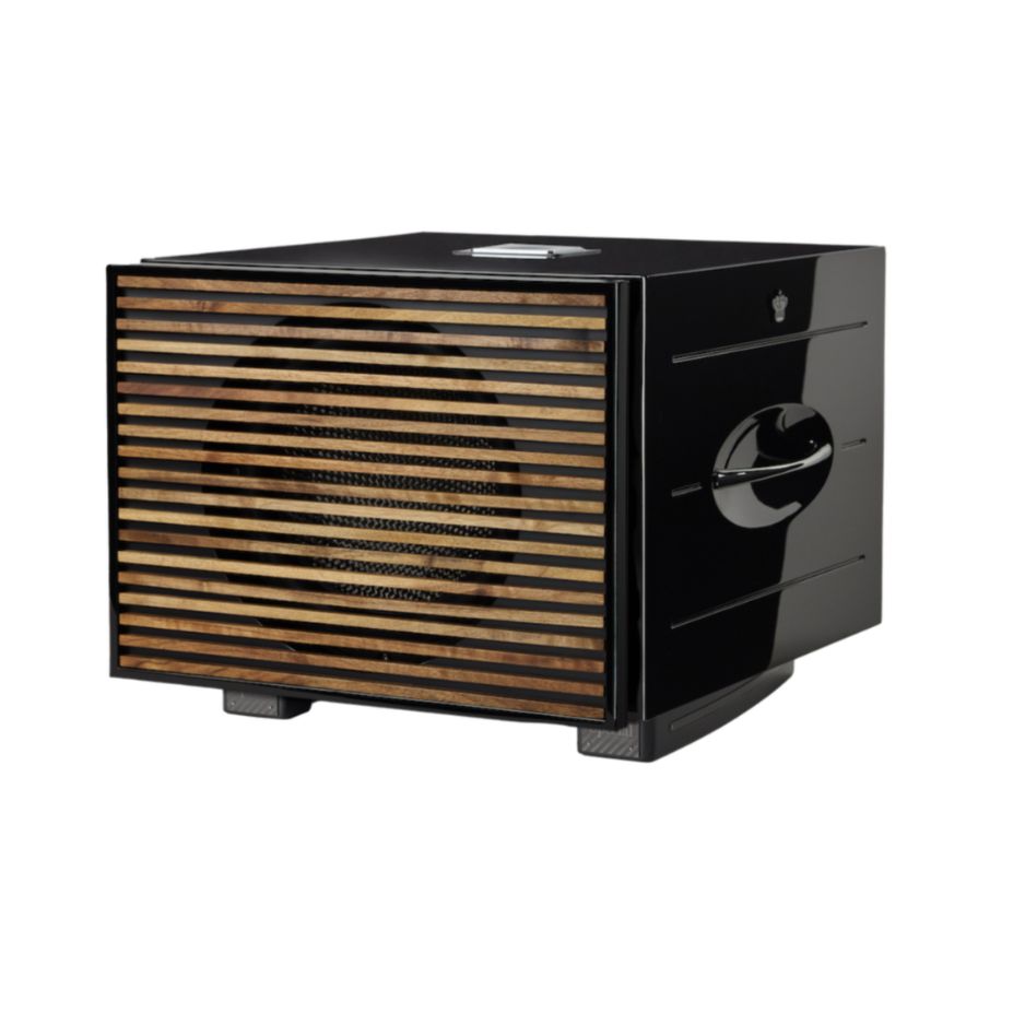 REL Carbon Special Black Label Subwoofer