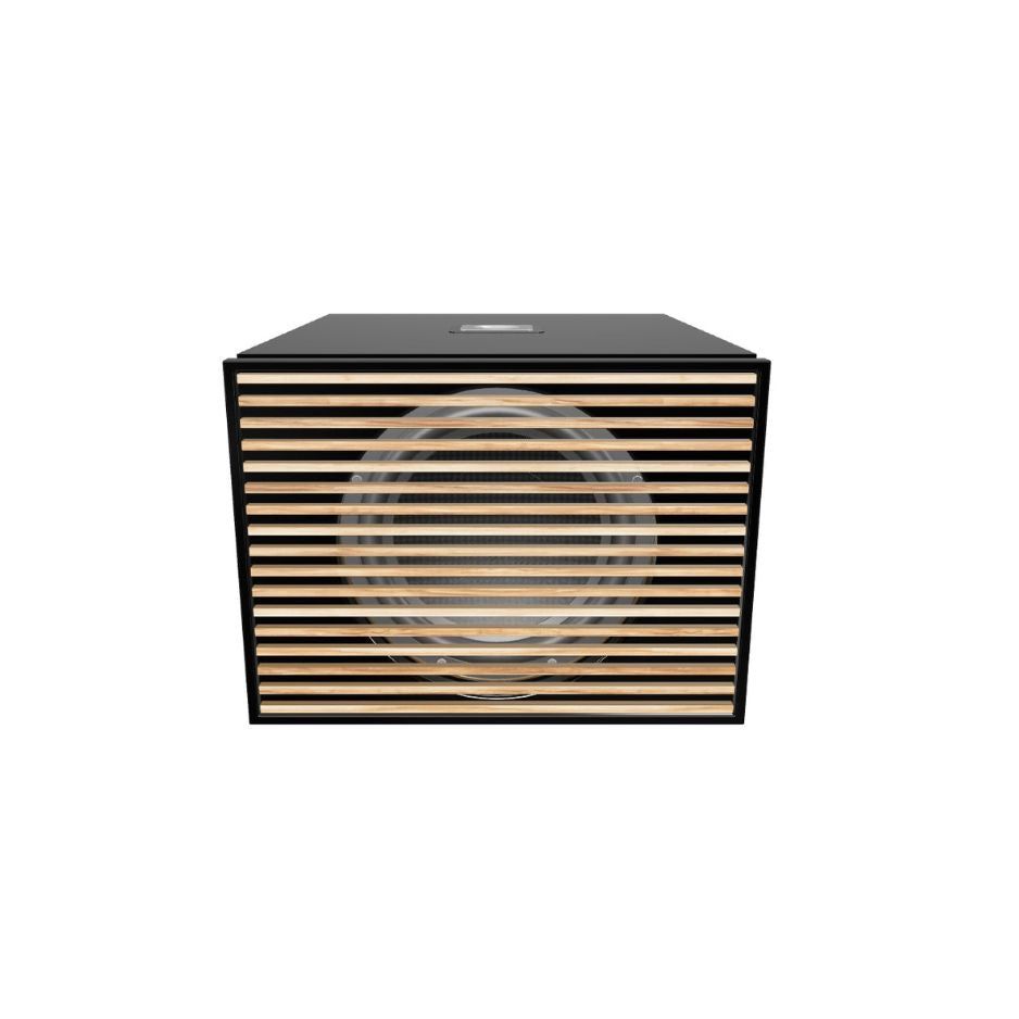 REL Carbon Special Black Label Subwoofer