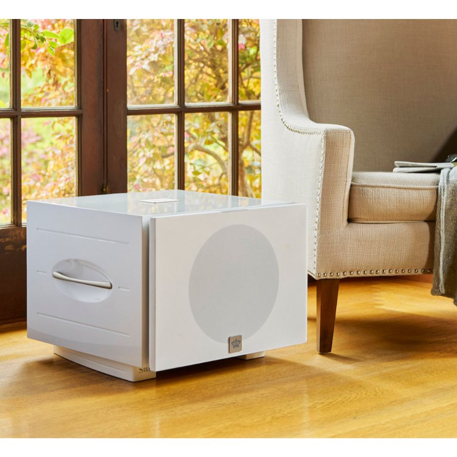 REL S/850 Subwoofer