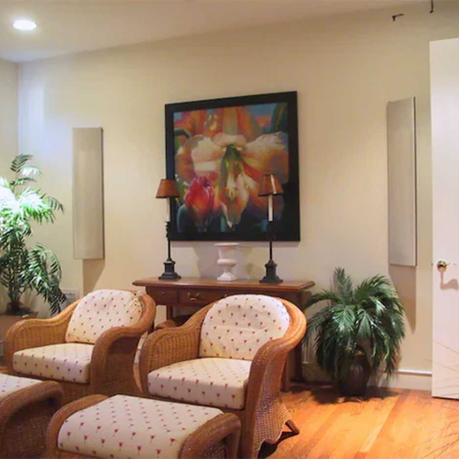 Magnepan MC1x On-Wall Speakers
